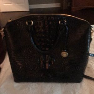Black Brahmin large duxbury